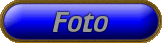 Foto´s vna onze Cattery