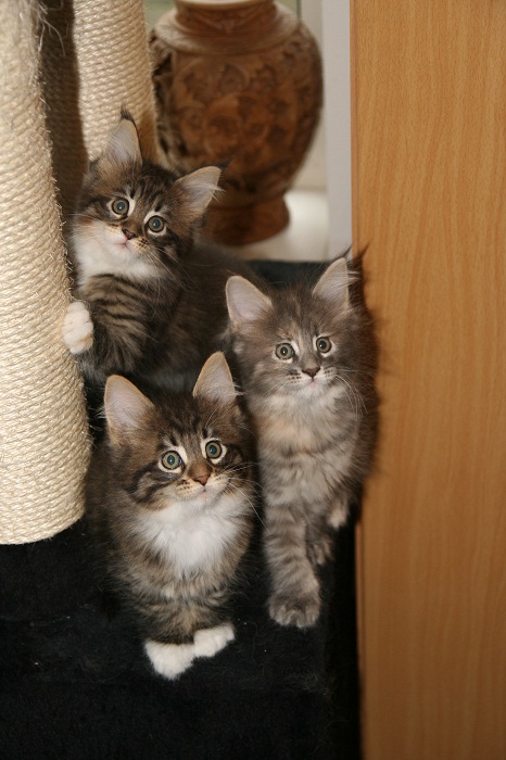 foto9