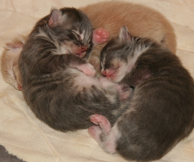 foto5